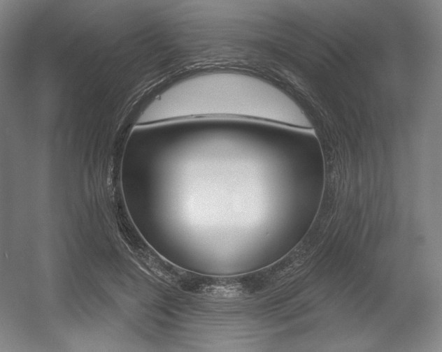 X0000055970548200508190706