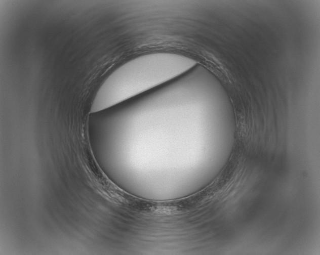 X0000055970549200508190706