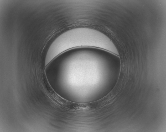 X0000055970552200508190706
