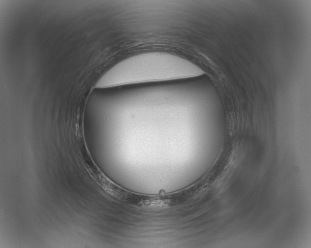 X0000055970553200508190706