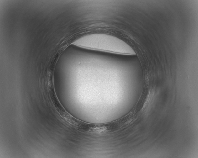 X0000055970554200508190706