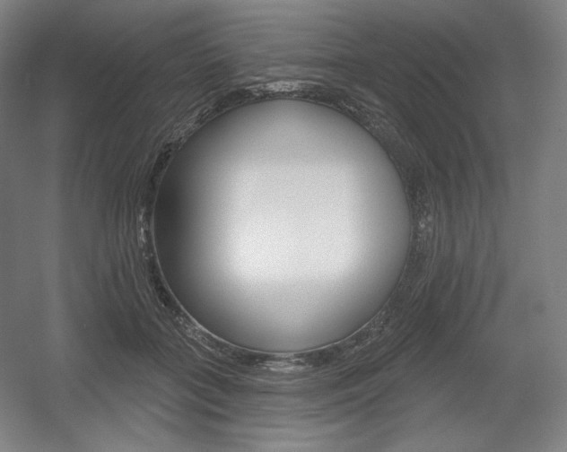 X0000055970555200508190706