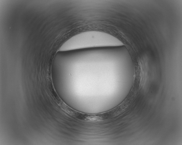 X0000055970557200508190706