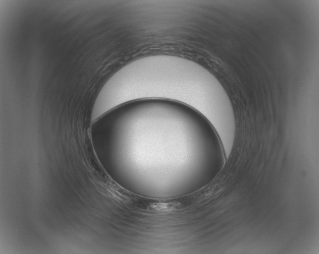 X0000055970558200508190706