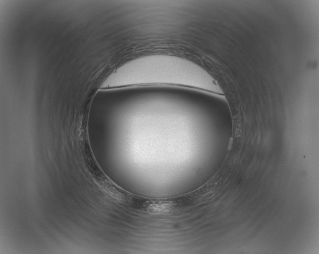 X0000055970560200508190706