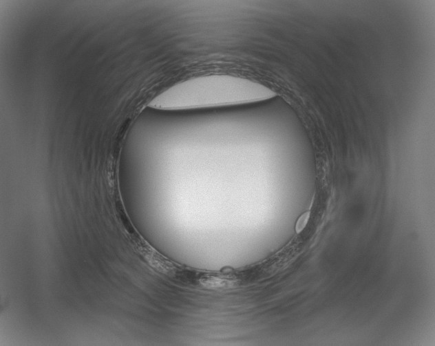 X0000055970561200508190706