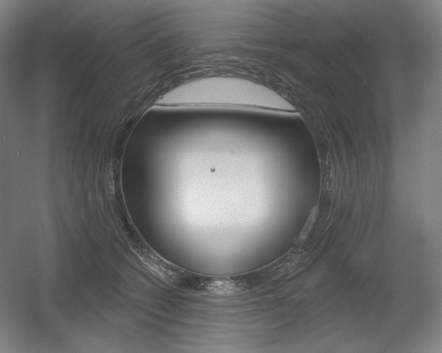 X0000055970562200508190706