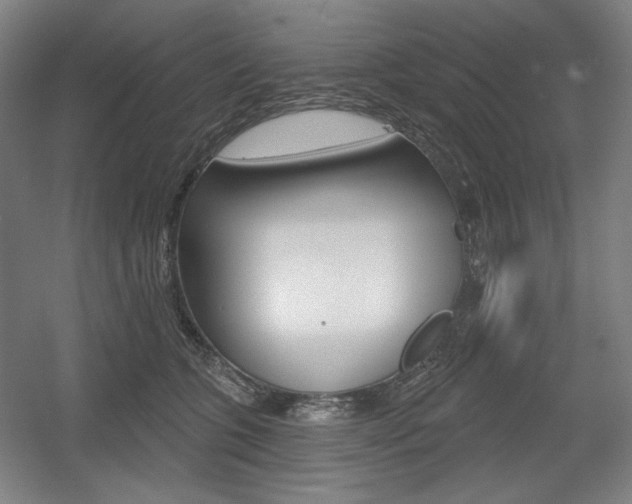 X0000055970563200508190706