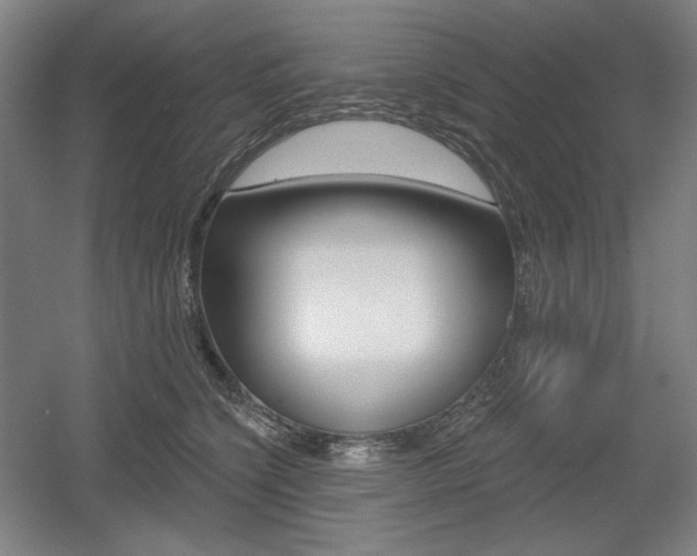 X0000055970564200508190706
