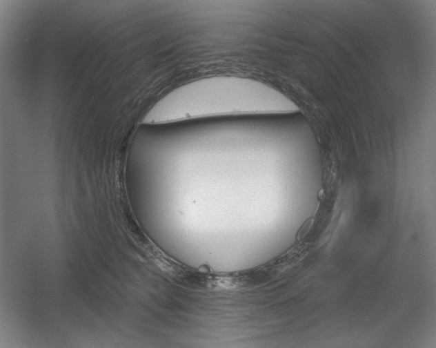 X0000055970565200508190706