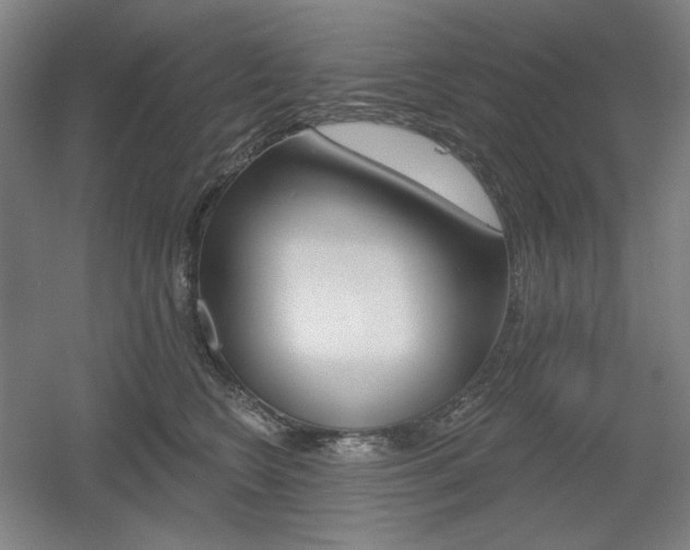 X0000055970566200508190706