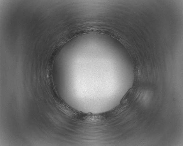 X0000055970567200508190706