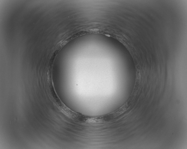 X0000055970568200508190706
