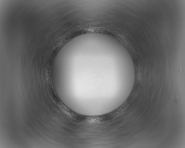 X0000055970569200508190706