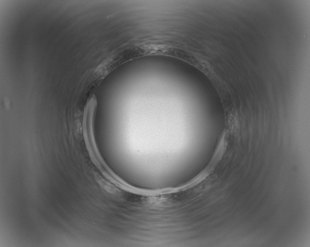 X0000055970570200508190706