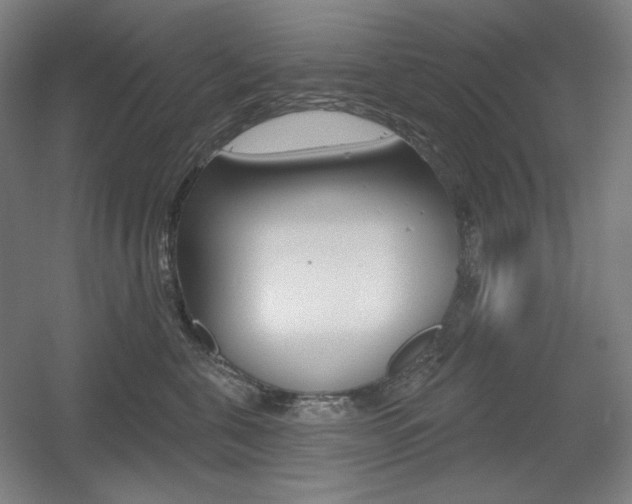 X0000055970571200508190706