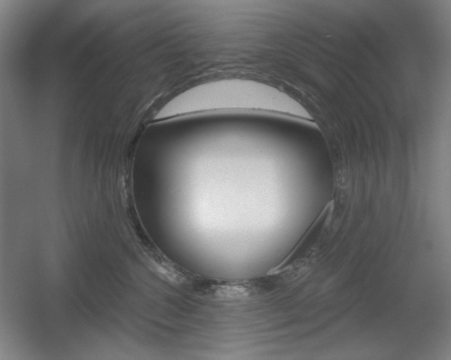 X0000055970572200508190706