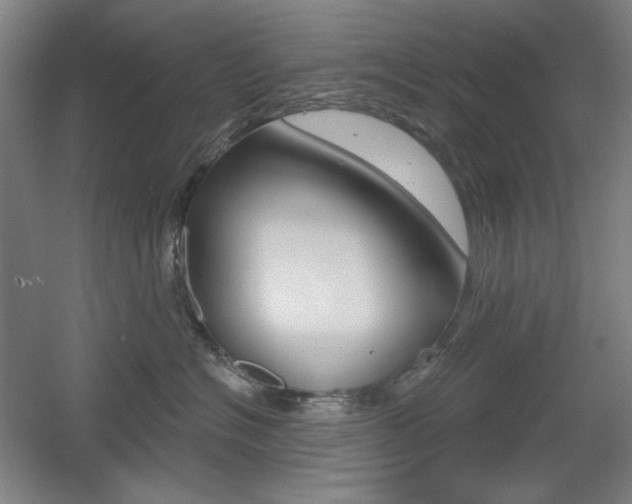 X0000055970574200508190706