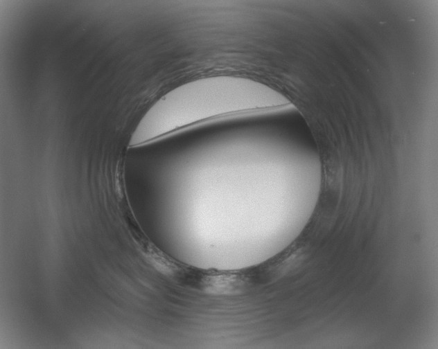 X0000055970575200508190706