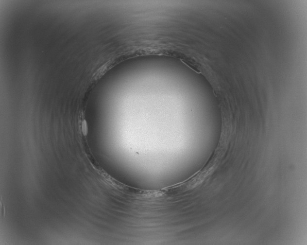 X0000055970576200508190706