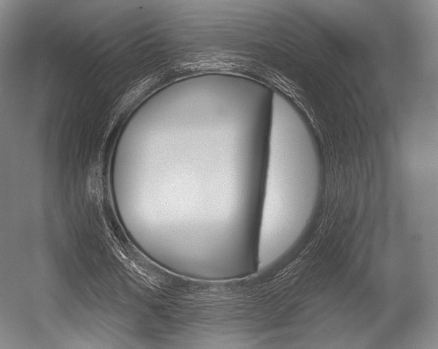 X0000055970578200508190705