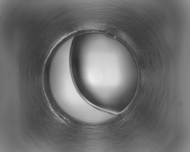 X0000055970580200508190705