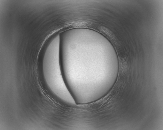 X0000055970583200508190705