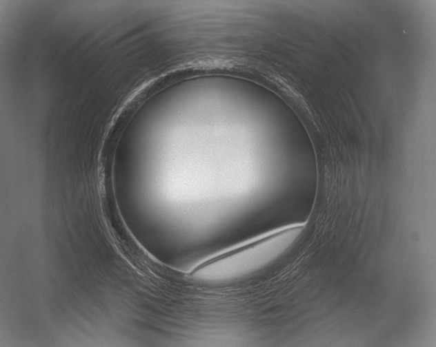 X0000055970584200508190705