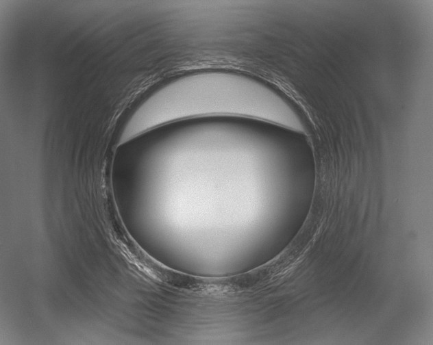 X0000055970585200508190705