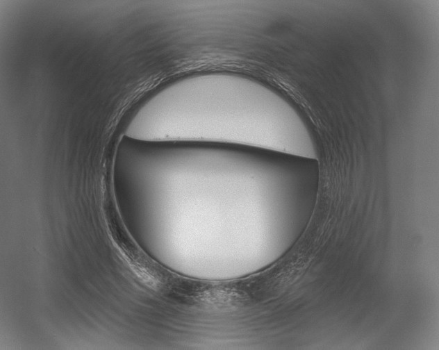 X0000055970586200508190705
