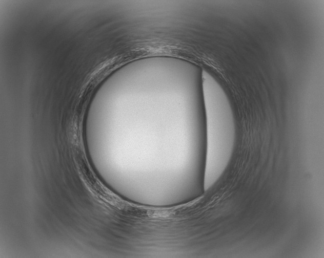 X0000055970587200508190705