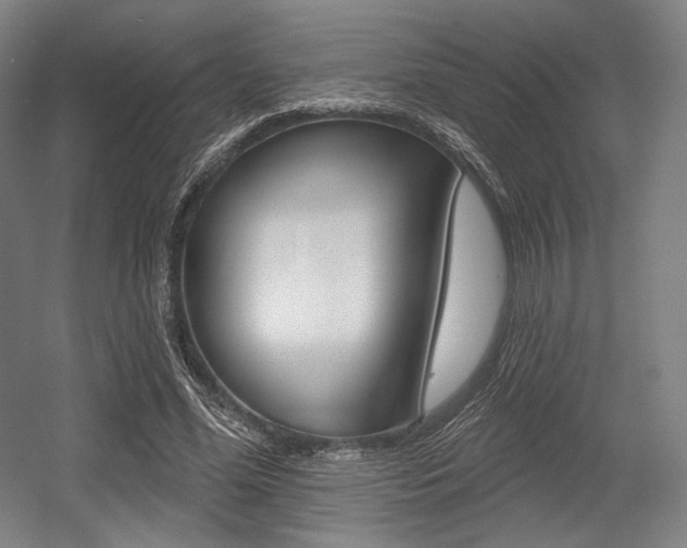 X0000055970588200508190705