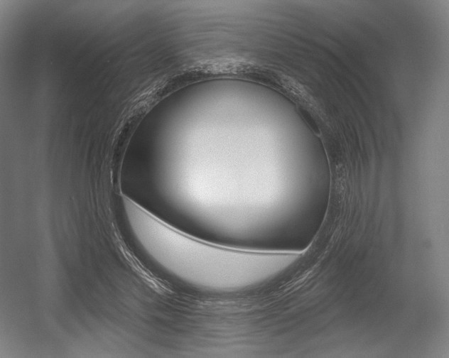 X0000055970589200508190705
