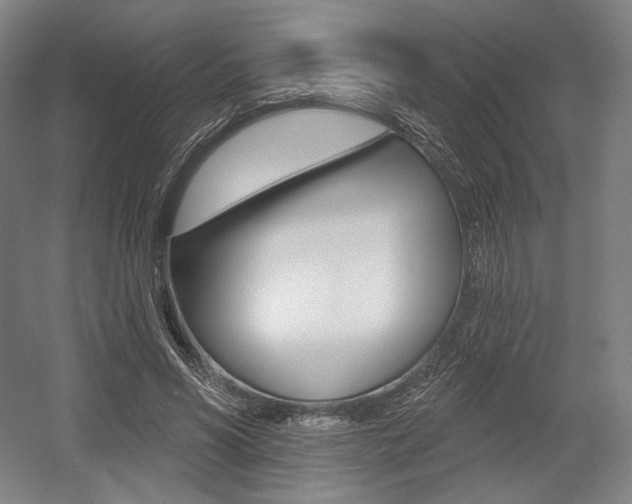 X0000055970590200508190705