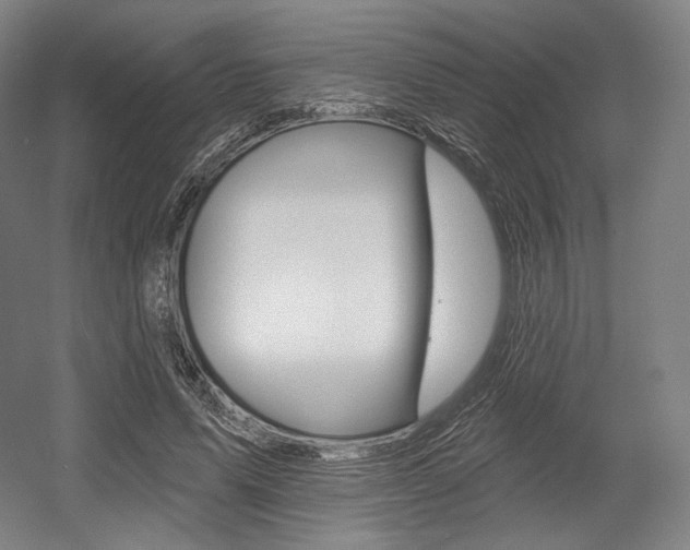 X0000055970591200508190705