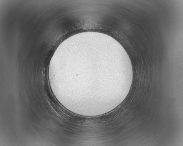 X0000055970592200508190705