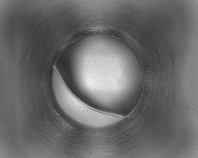 X0000055970593200508190705