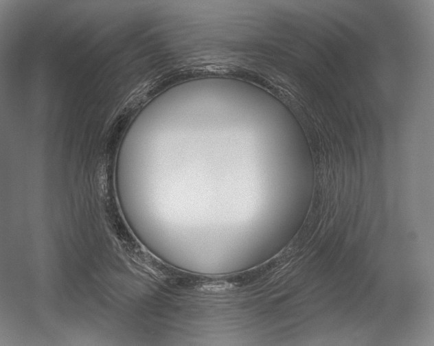 X0000055970595200508190705