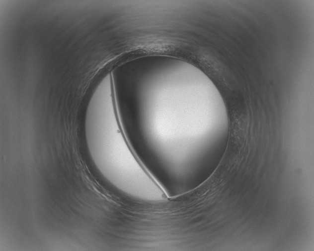 X0000055970596200508190705