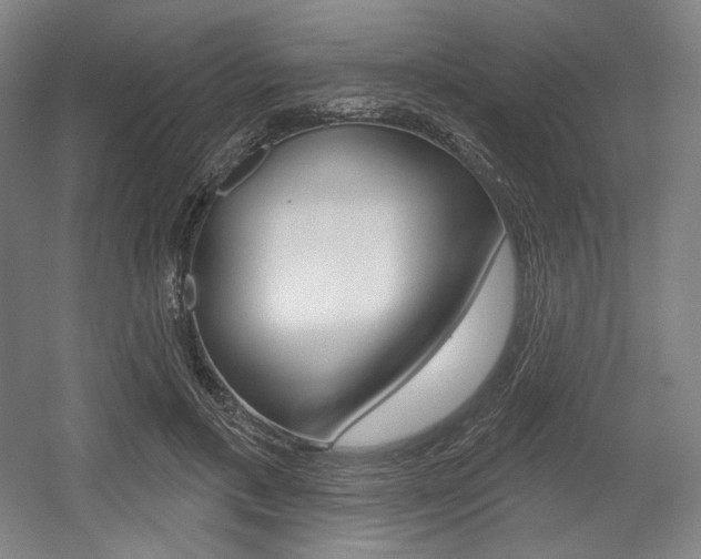 X0000055970597200508190705