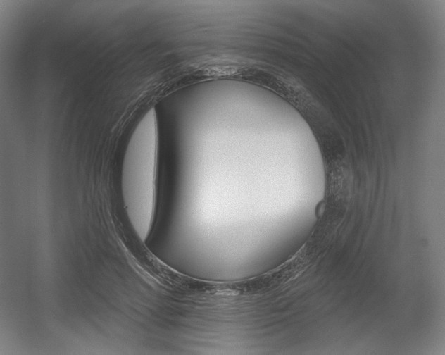 X0000055970598200508190705