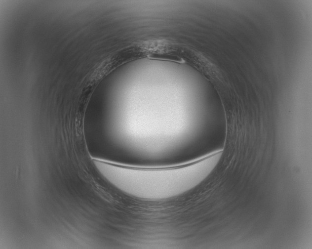 X0000055970601200508190705