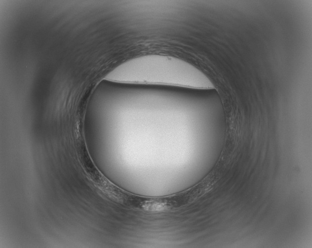 X0000055970602200508190705