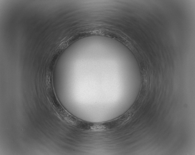 X0000055970603200508190705