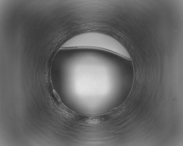 X0000055970604200508190705