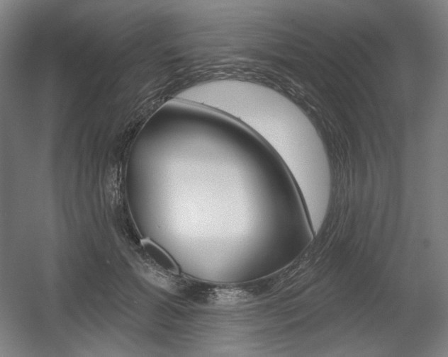 X0000055970605200508190705