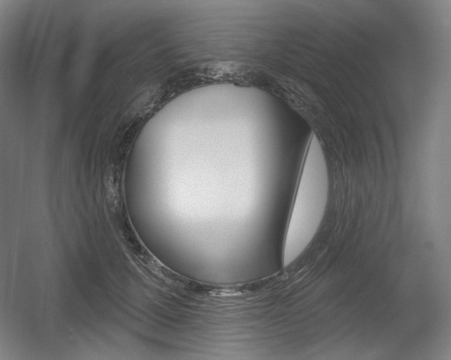 X0000055970607200508190705