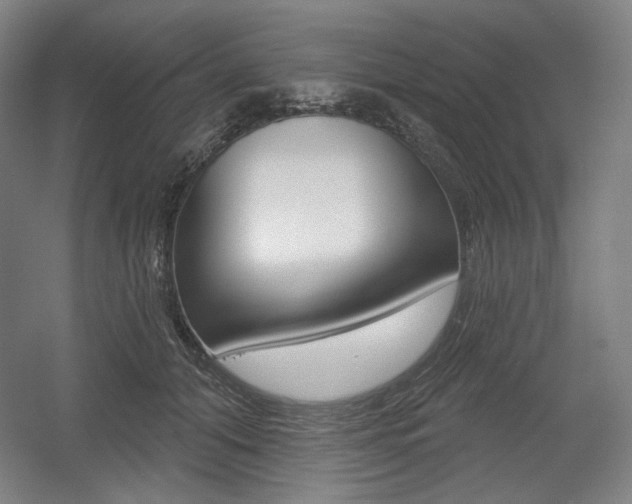 X0000055970608200508190705
