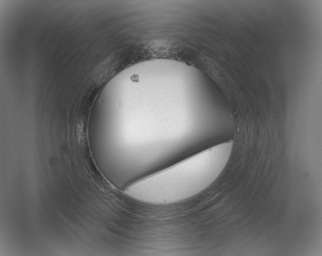 X0000055970610200508190705