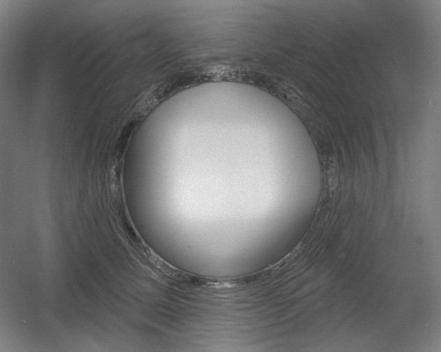 X0000055970611200508190705